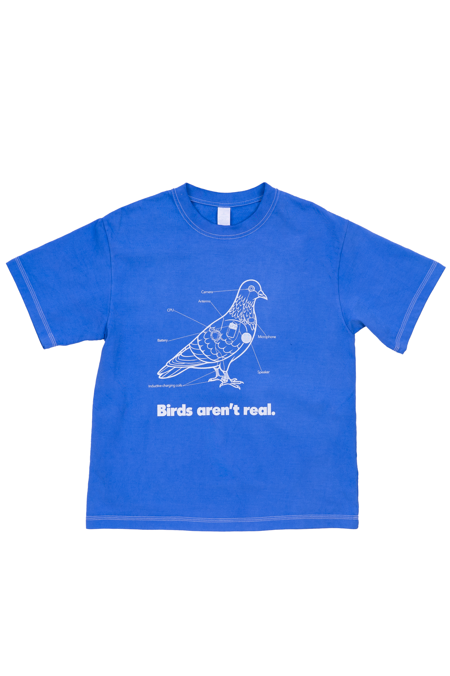 Birds Aren't Real - Light Blue Tee