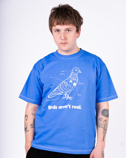 Birds Aren't Real - Light Blue Tee
