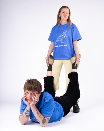 Birds Aren't Real - Light Blue Tee