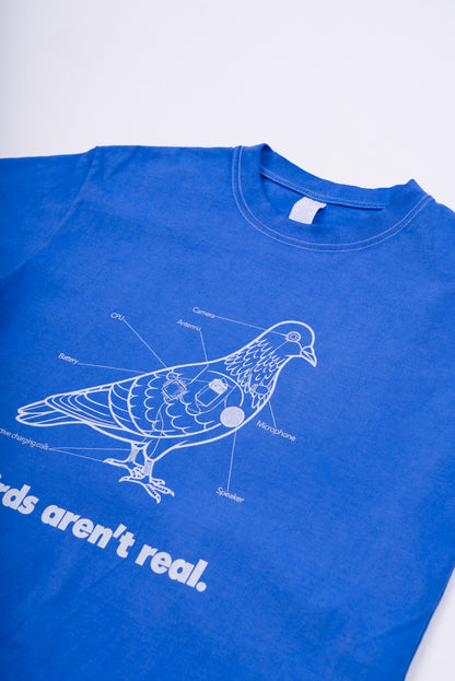Birds Aren't Real - Light Blue Tee
